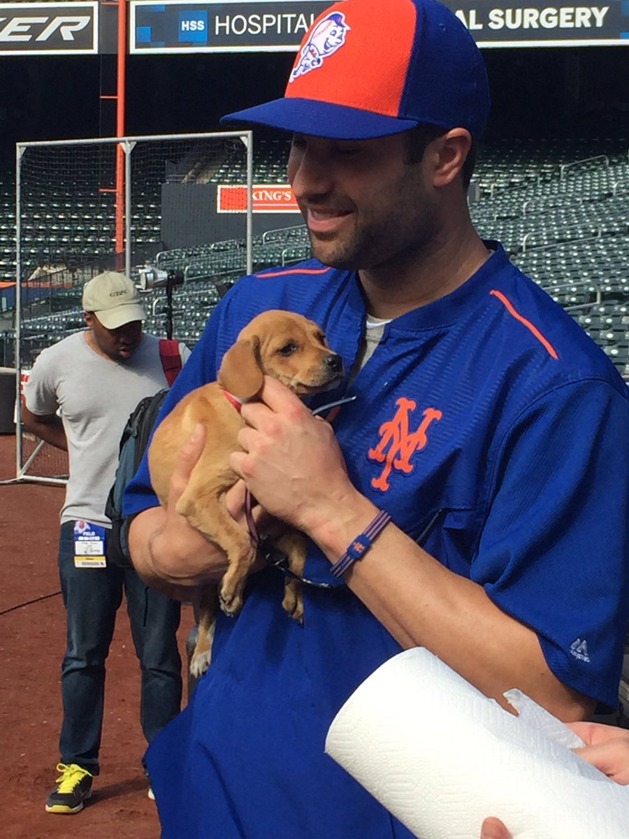 This little cutie just met her favorite @mets player, @neilwalker18! #GetYourRescueOn #NewYorkMets #bestdayever