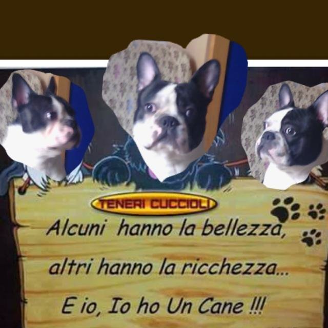 Alejet (@alexbroglio) on Twitter photo 