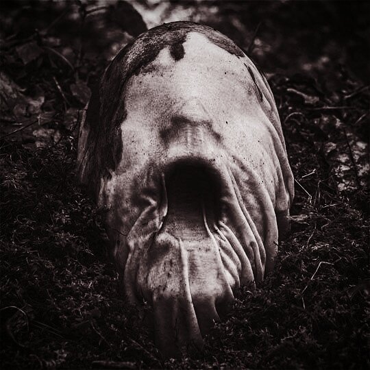 xzombae's tweet photo. #creepy https://t.co/CCCFtwv9mD