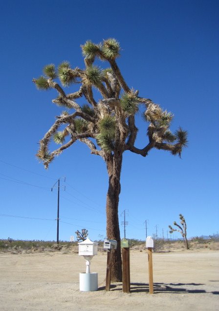 LHNotes's tweet image. #mailbox appreciation day! lovelyhandwrittennotes.tumblr.com/post/144569342…