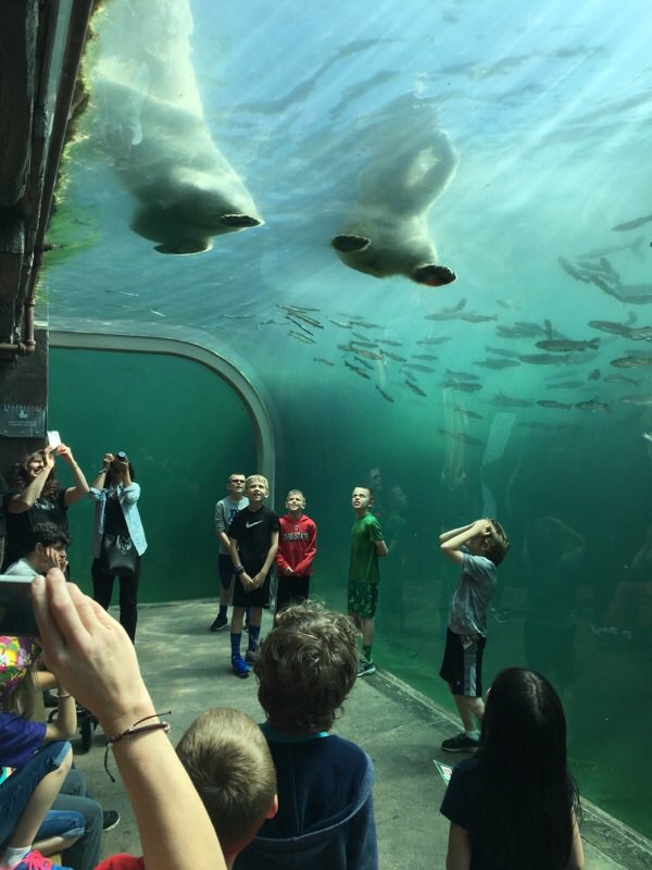 Fun day at the zoo! The kids couldn't stop talking about it when they got back! Thank you parents for your help!