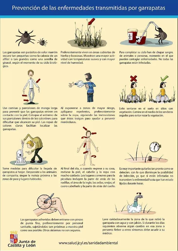 Cuando salgas al campo, 👀 ojo con las garrapatas! pueden transmitirte enfermedades.
Sigue estos consejos, vía <a href="/jcyl/">Junta de Castilla y León</a>