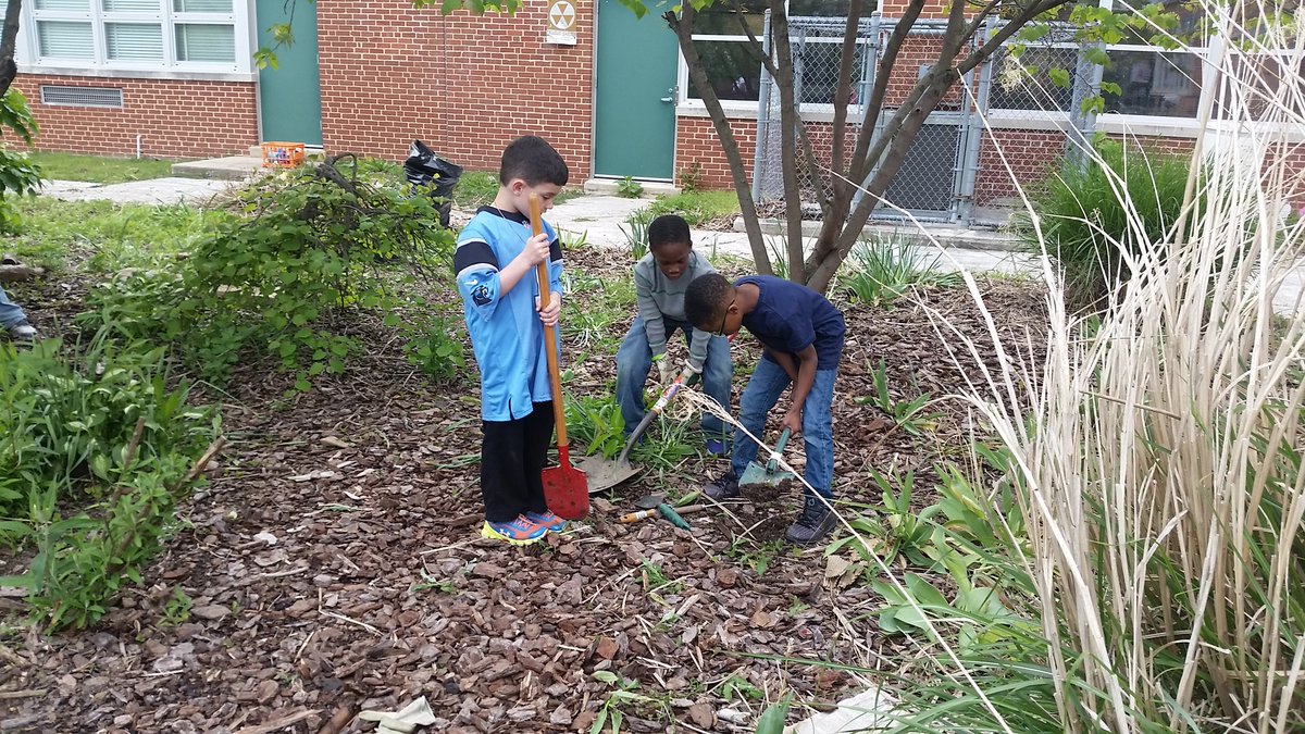 David  Paul tweet media