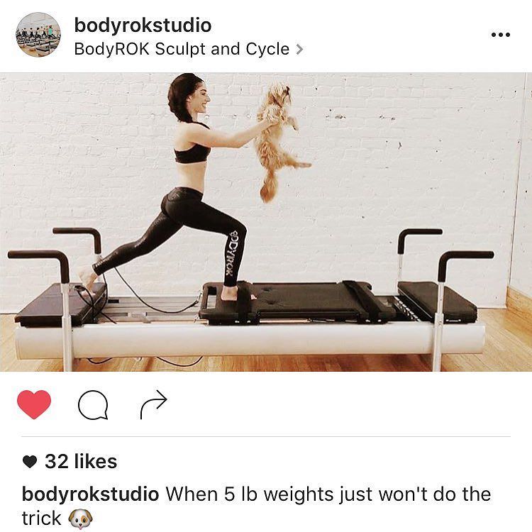 BlueMonsieur's tweet photo. I'm the perfect added challenge for your workout!
#shihtzu #fitness #sf #rokyourbody https://t.co/m4X18wWvNz
