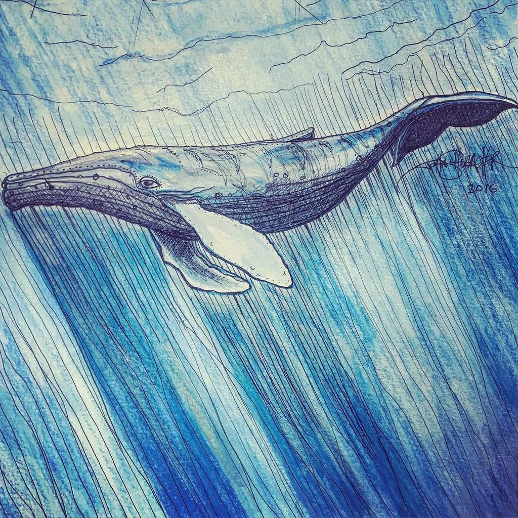 manifatto's tweet photo. #nature & #form Inspiration from jschumacher88 ✍ "Big Blue"
05182016
#schumacherart #bluewhale #oceanlife #endange… https://t.co/puvTmScvhY