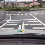 自動車に勝負を仕掛けるある動物!さすがに勇敢すぎるw勝てないだろw