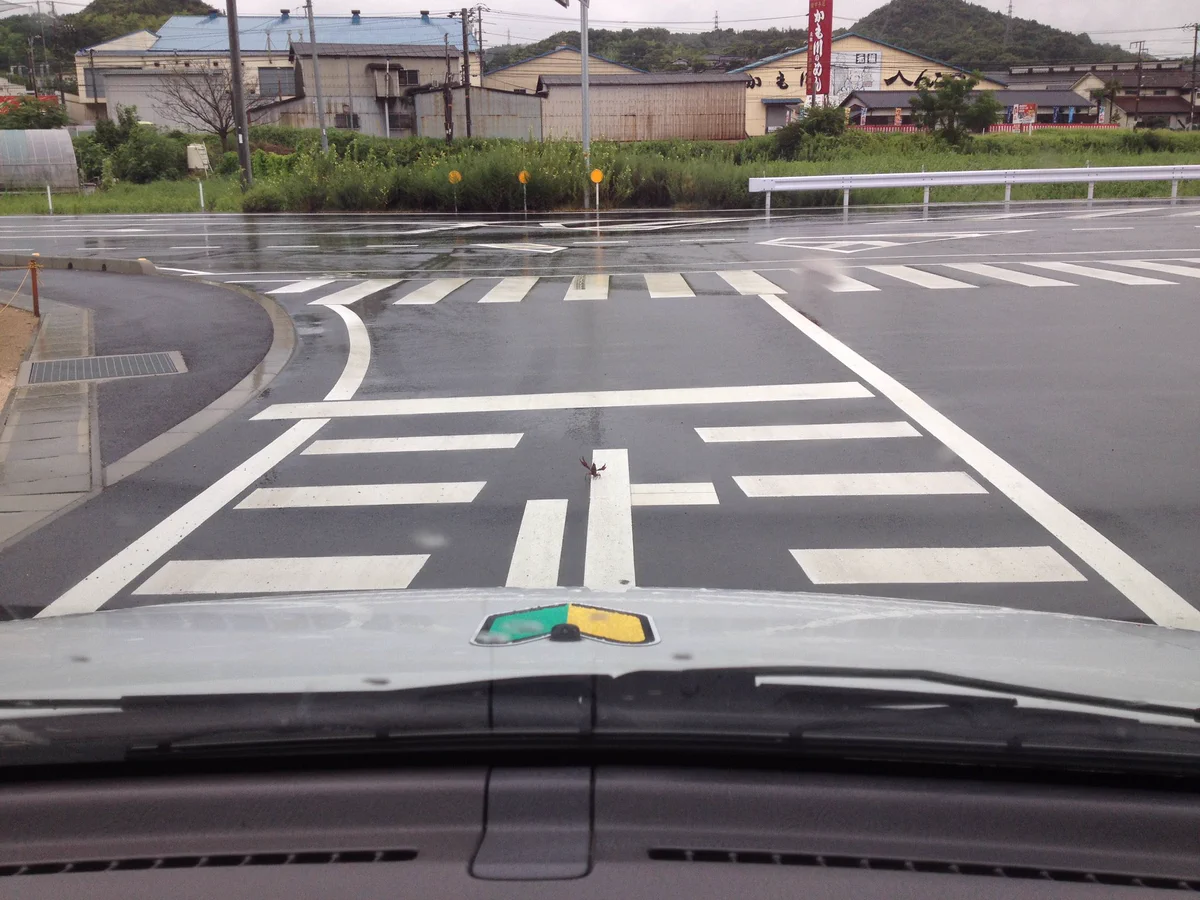 みんな気をつけろｗザリガニが道路に飛び出て来たんだ…ｗｗｗ