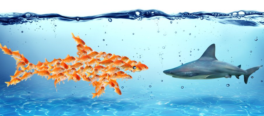 ClaudioGT's tweet image. Collaboration Is A Buzzword. What You Want Is A Shared Language.- OPENforBusiness go.shr.lc/1MC2vxs @coachtess