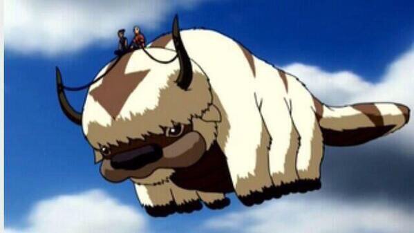 CauseWereGuys's tweet photo. FUCK A CAR, I GOT MYSELF A APPA , YIP YIP NIGGA https://t.co/CPPGZ2v1sD