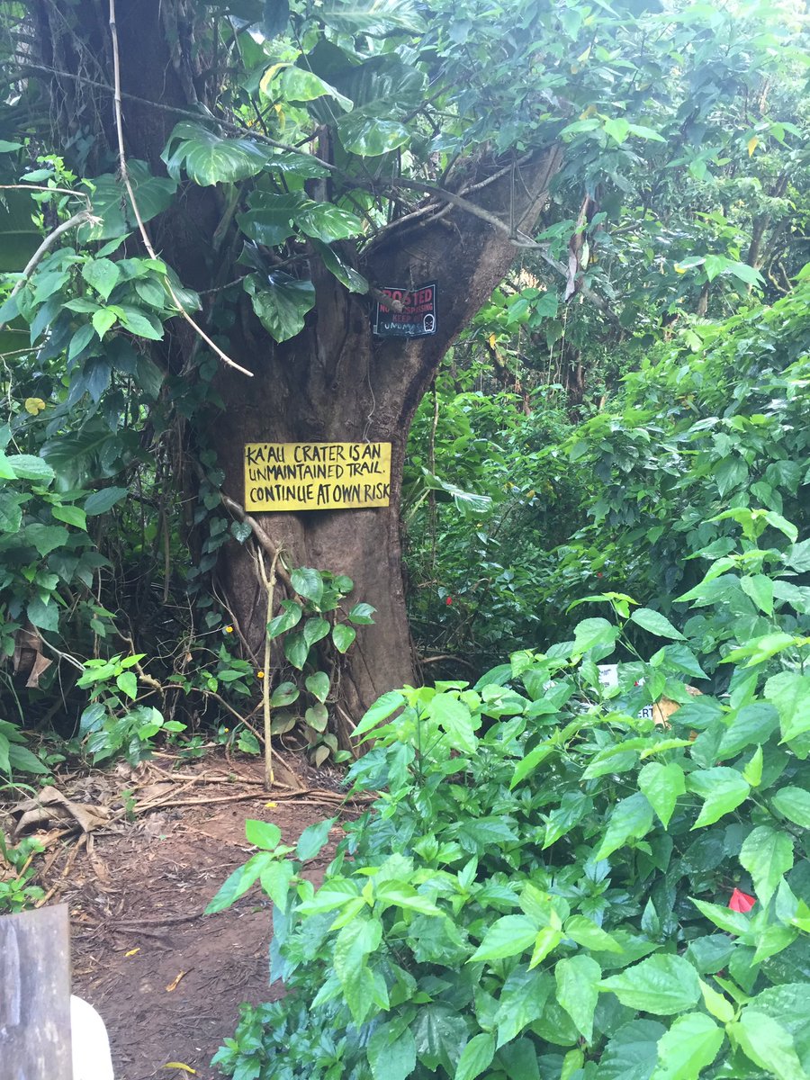 Hamster__Huey's tweet photo. The hike was exactly 8 Mile(s) #CallMeSlim https://t.co/zqSCNiJ5yZ