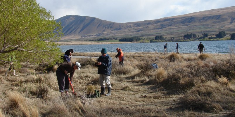 Department of Conservation tweet media