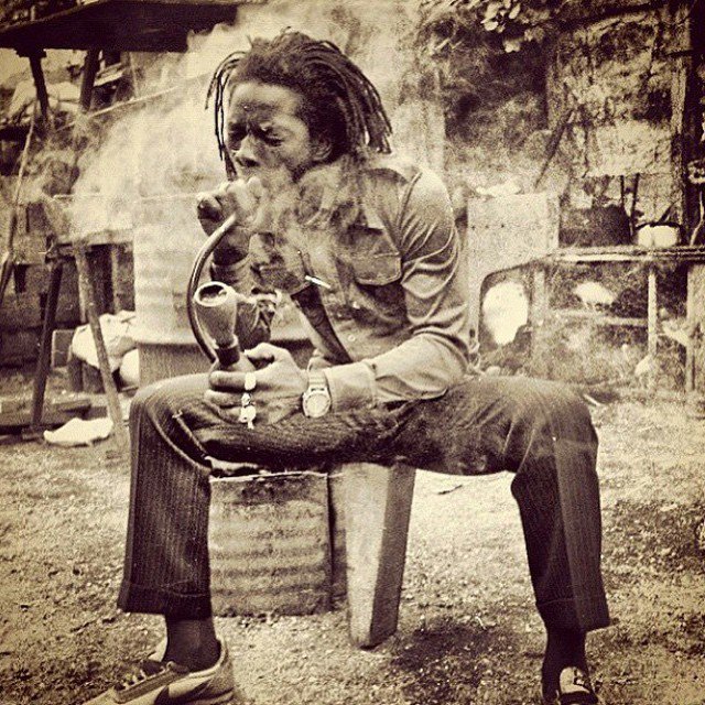 exodusmuzik's tweet photo. #burnchalice #chalicepipe #ganja #herb #coconut #coconutchalice #rasta #rastafari #steamaz #steamchalice #bamboo #w⦠https://t.co/m5YtMhc47Z