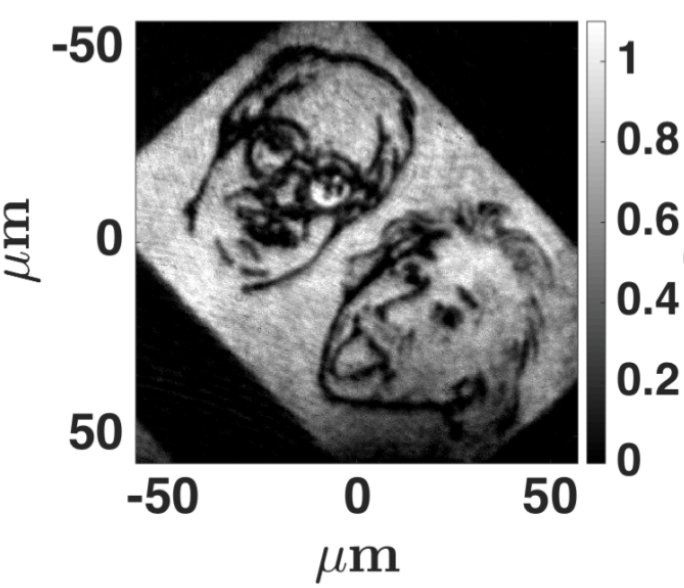 BEC^2: Bose, Einstein made from a BEC at UQ! arxiv.org/abs/1605.04928 <a href="/g8ge/">Charles W. Clark</a> @usnistgov <a href="/iqoqi/">IQOQI Innsbruck</a> <a href="/OxfordQuantum/">Oxford Quantum</a>