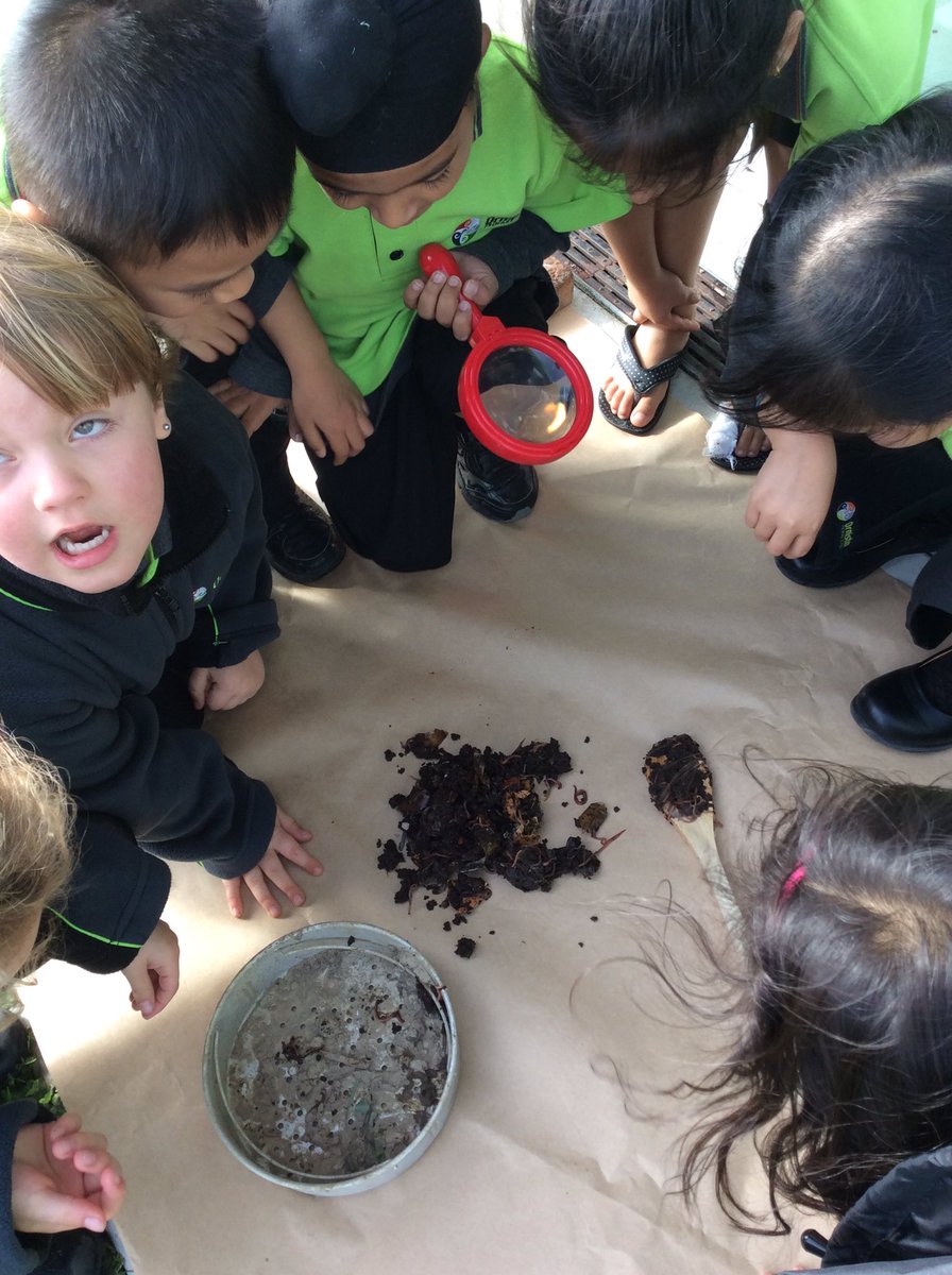 LH4OrmPS's tweet photo. Who lives inside our compost bin? #foodchain #soilweb https://t.co/zxQbeLmbjN