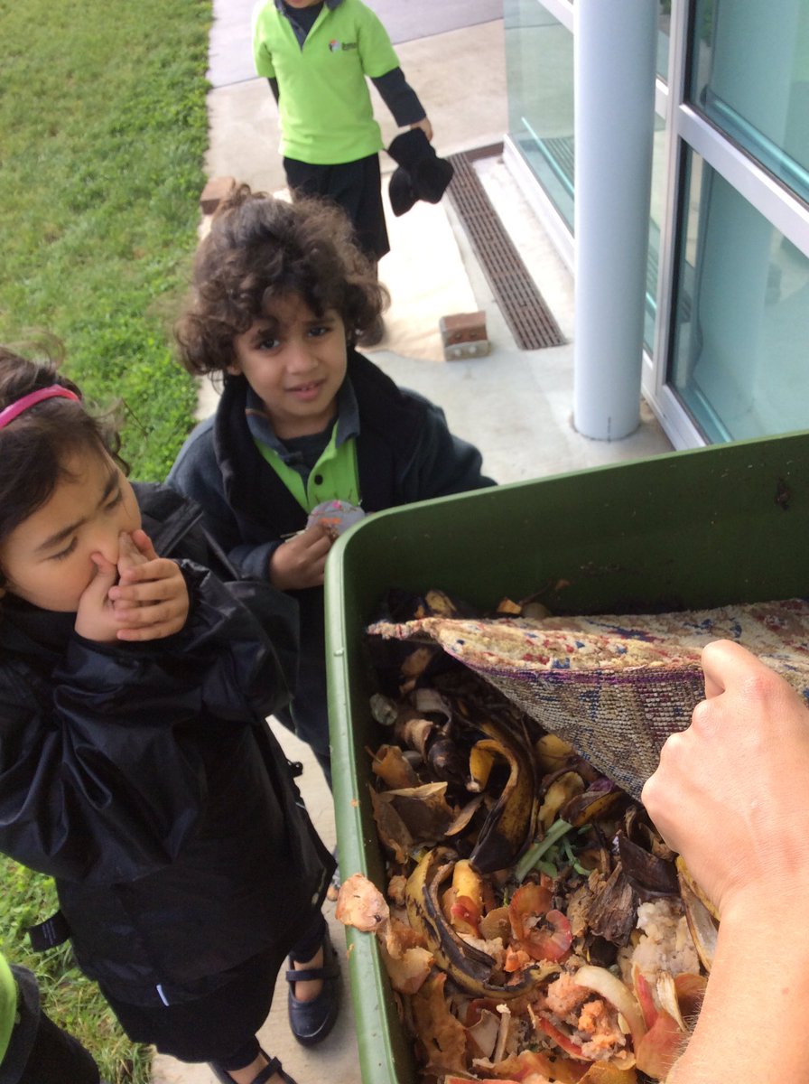 LH4OrmPS's tweet photo. Who lives inside our compost bin? #foodchain #soilweb https://t.co/zxQbeLmbjN