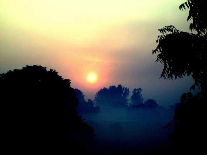 Divyans33099655's tweet photo. Good morning to all of you
Have a nice day ..... https://t.co/aomdR3eiJa