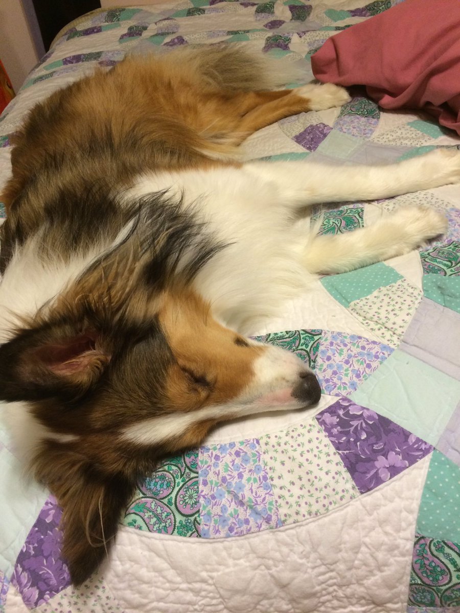 JadeDusci's tweet photo. My little boy, so sleepy! https://t.co/hp76d5Tski