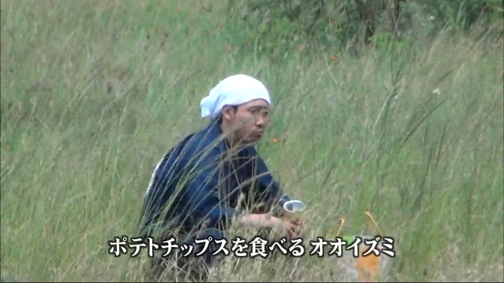 大泉洋?いいえ違います!野生のオオイズミですwww