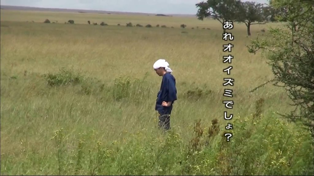 #秘密にしておきたかった生き物 野生のオオイズミ