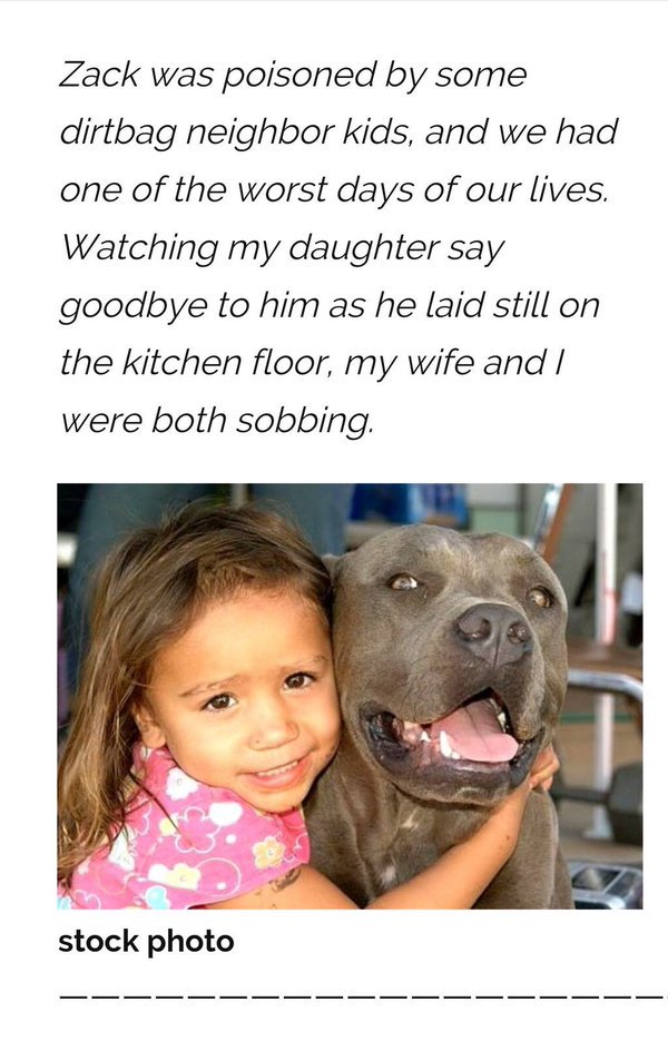 The Female Book tweet media