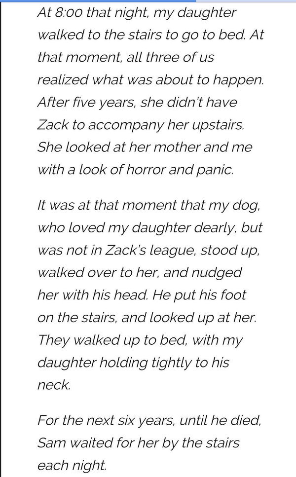 The Female Book tweet media