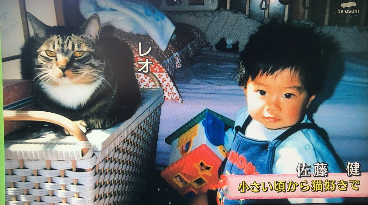 徹子の部屋 猫のパンプくん 佐藤健さんとともに出演 徹子さんをメロメロにするも今日で芸能界引退 2ページ目 Togetter 徹子の部屋 猫のパンプくん 佐藤健さんとともに出演 徹子さんをメロメロにするも今日で芸能界引退 2ページ目 Togetter