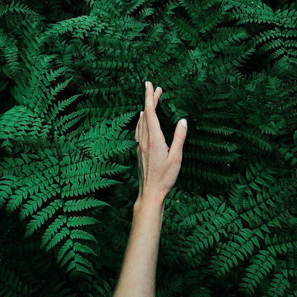 KatnissStilinsk's tweet photo. 🍃Читай меня, я взаимный🍃
🍀RT этот твит🍀
🍏Фолловь ретвитнувших🍏
#ЦепочкаФолловеров 
#ОнлиВаныЗахватятМир https://t.co/1ctFaeYNmB