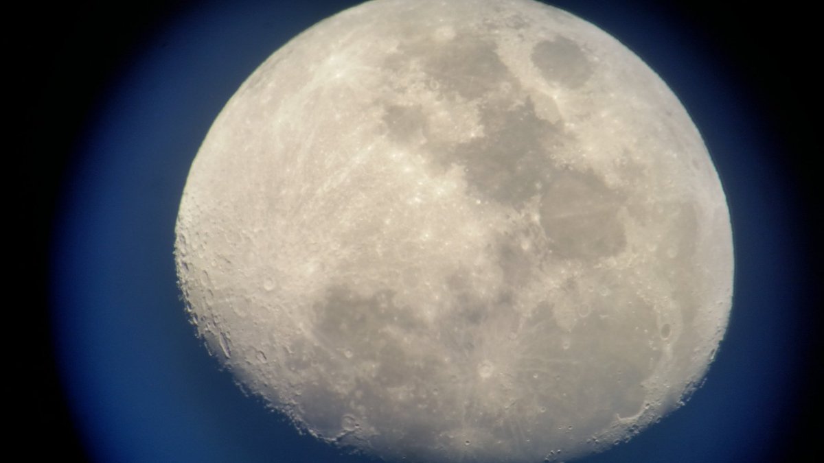 Rhonda Head tweet media