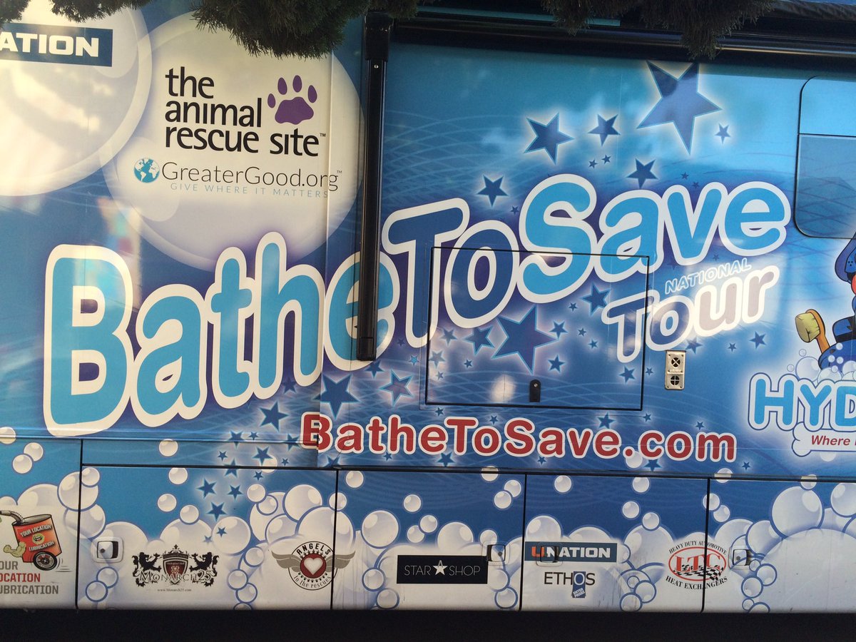 DogBookAuthor's tweet photo. Keep an eye out @BatheToSave 🐾❤️🐾 #rescue #family #bathe2save https://t.co/c475XWhorN