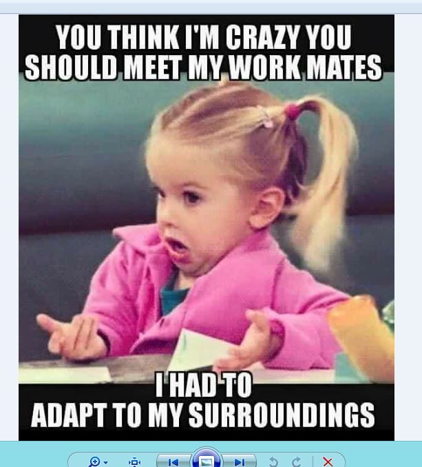 pics Crazy Busy Day Meme twitter