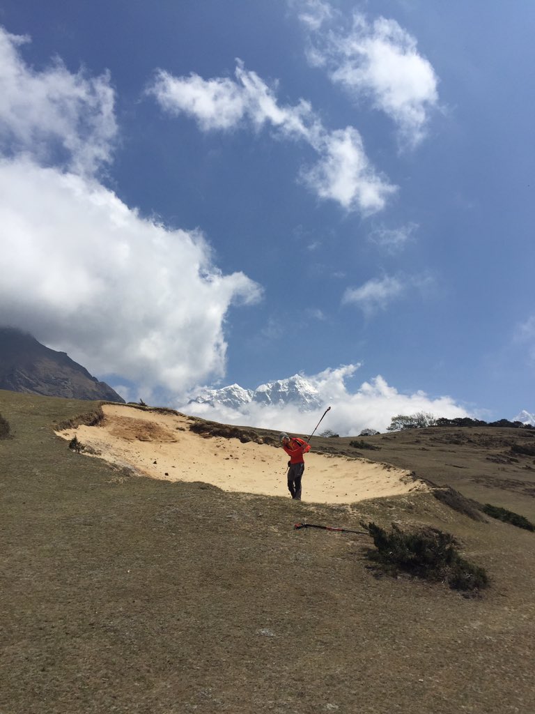 Matt Wilkinson tweet media