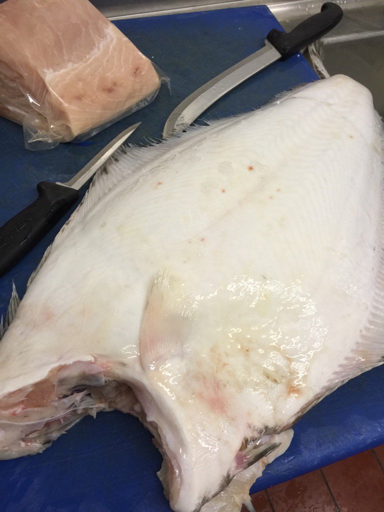 #WorcestershireHour just cut some of this beautiful Halibut to go on the specials list this morning