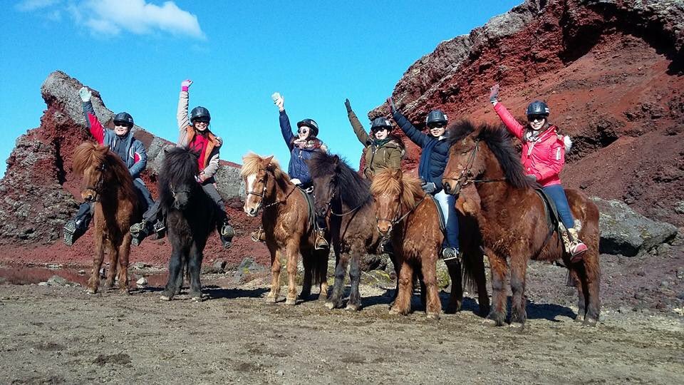 #funfunfun #riding in #reykjavik #iceland Come and ride with reykjavikridingcenter.is #icelandichorse #horse