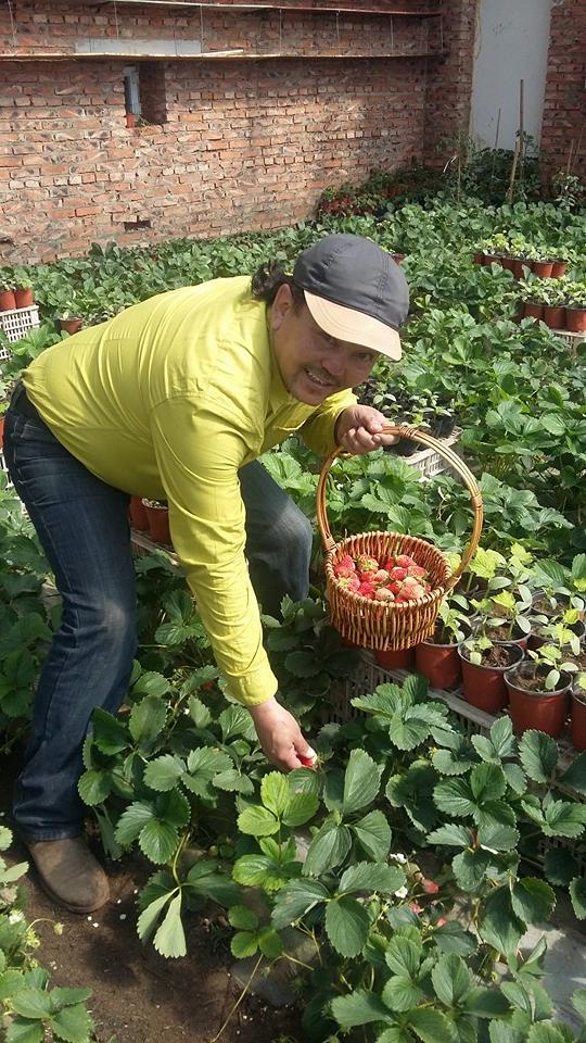Монголчуудаа бүгдээрээ зусландаа Гүзээлзгэнэ тарьцгаая.
Бид технологийг нь зааж өгье. Та хүүхдүүдтэйгээ тариарай.