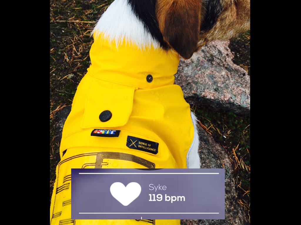 ToniKoutu's tweet photo. Hello dear followers! if you have not yet voted. vote for us!
https://t.co/p877NDsq2I #WearableTech #dogs #WOOM https://t.co/Ewf0I3Zd84