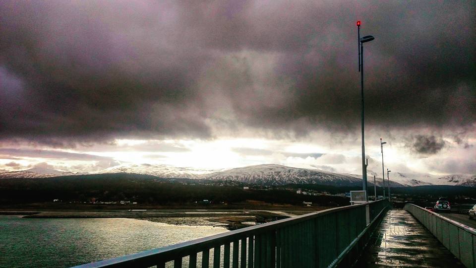 Terje Håkstad tweet media