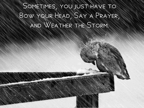 Hit your knees when the storms in your live rage. #Prayer works.