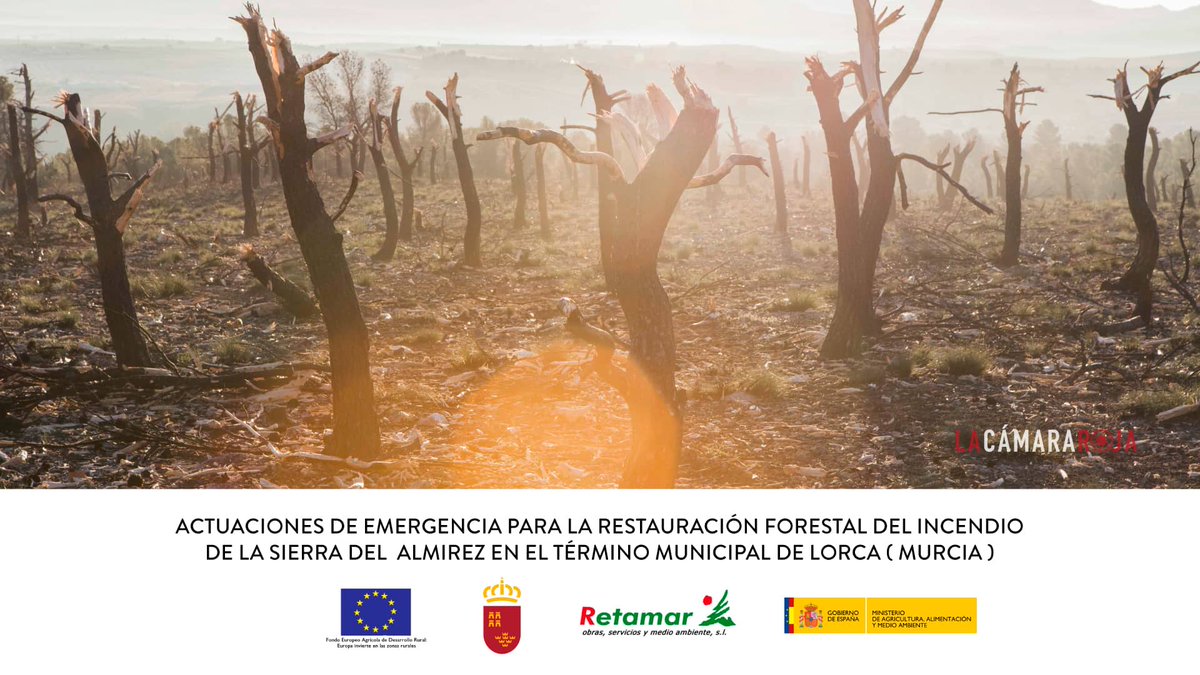RestauraAlmirez's tweet image. Nuevo vídeo de actuaciones de restauración en la Sierra del #Almirez #iiff goo.gl/ed2QlM