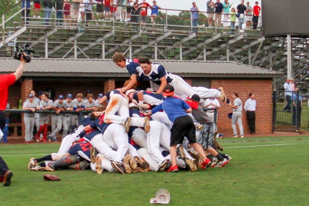 MRABaseball's tweet image. #DOGPILE