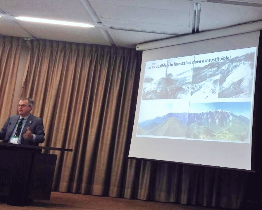 ferrandalmau78's tweet image. Conclusión @EdRojasBr:
"...Sí es posible, y lo #forestal es clave e insustituible..." #Redforesta2016
¡Amén mestre!