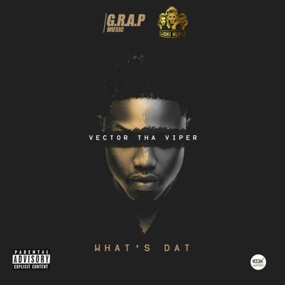 kampusflowz's tweet photo. Tell a Friend #WhatsThatByVector is Out Now, Download Here https://t.co/hO360uaWHk #GRAP https://t.co/Bt4aMBvy0x
