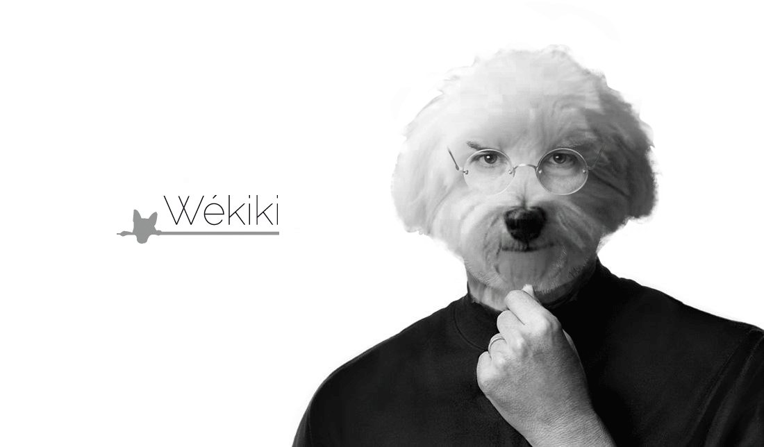 wekiki_traceur's tweet photo. Hector, ingénieur chez #Apple, est prêt à vous présenter les dernières #news #HighTech ! #RetrouveMonChien https://t.co/ishOu1eqSw