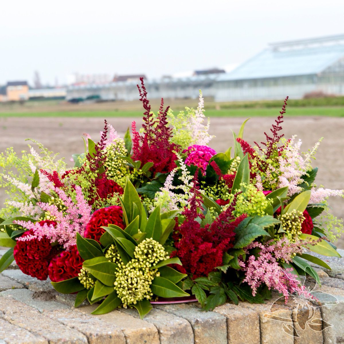 summerflowersNL's tweet photo. #FlowerFriday #inspiratie https://t.co/PrJc7UFdQT