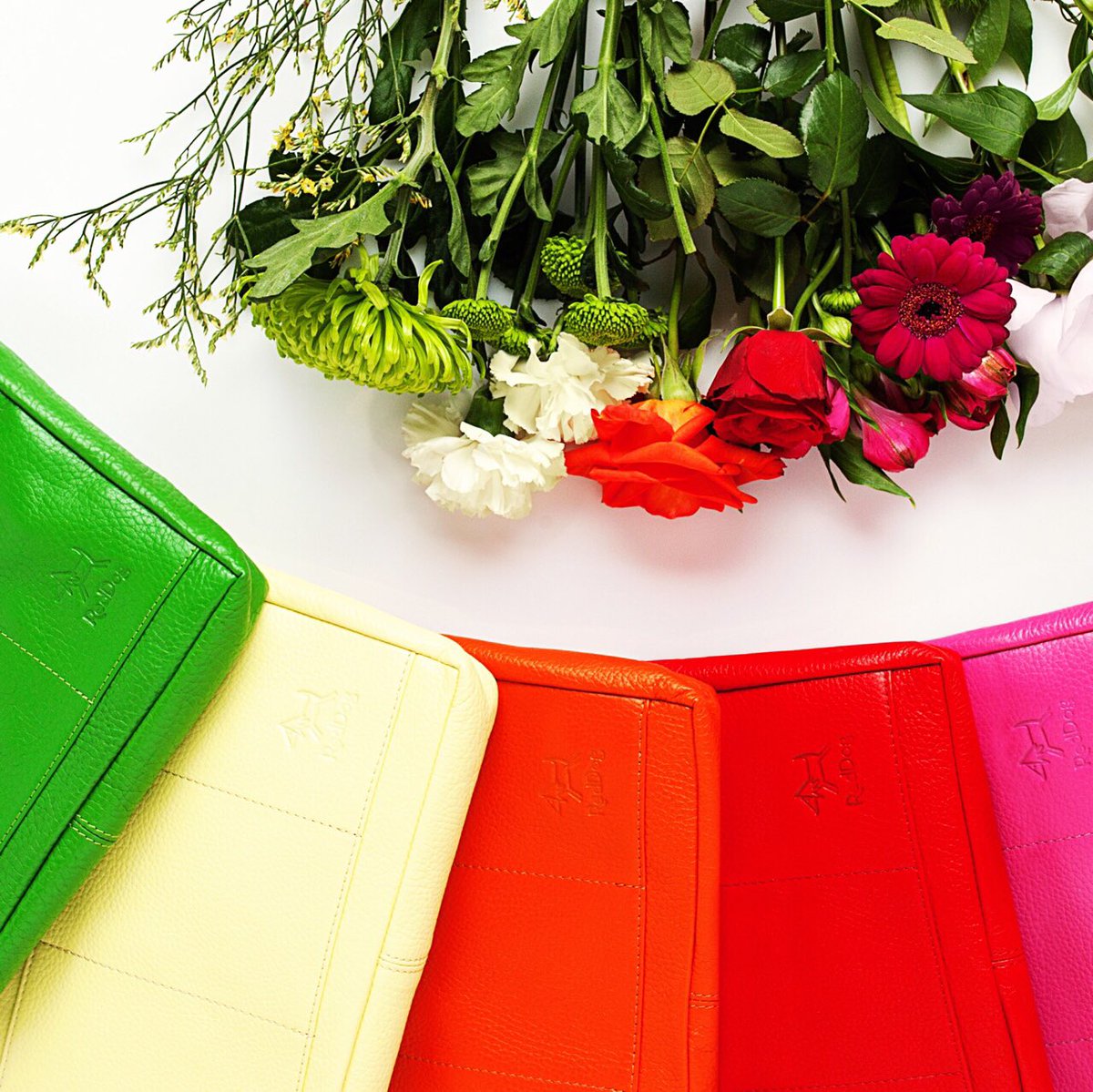 reddoggiftuk's tweet photo. Rainbow of BagPods...Happy Thursday! @htsi @StylistMagazine #BagPod #rainbow #RedDog #getorganised #styleblogger https://t.co/9Wg63qD8RB