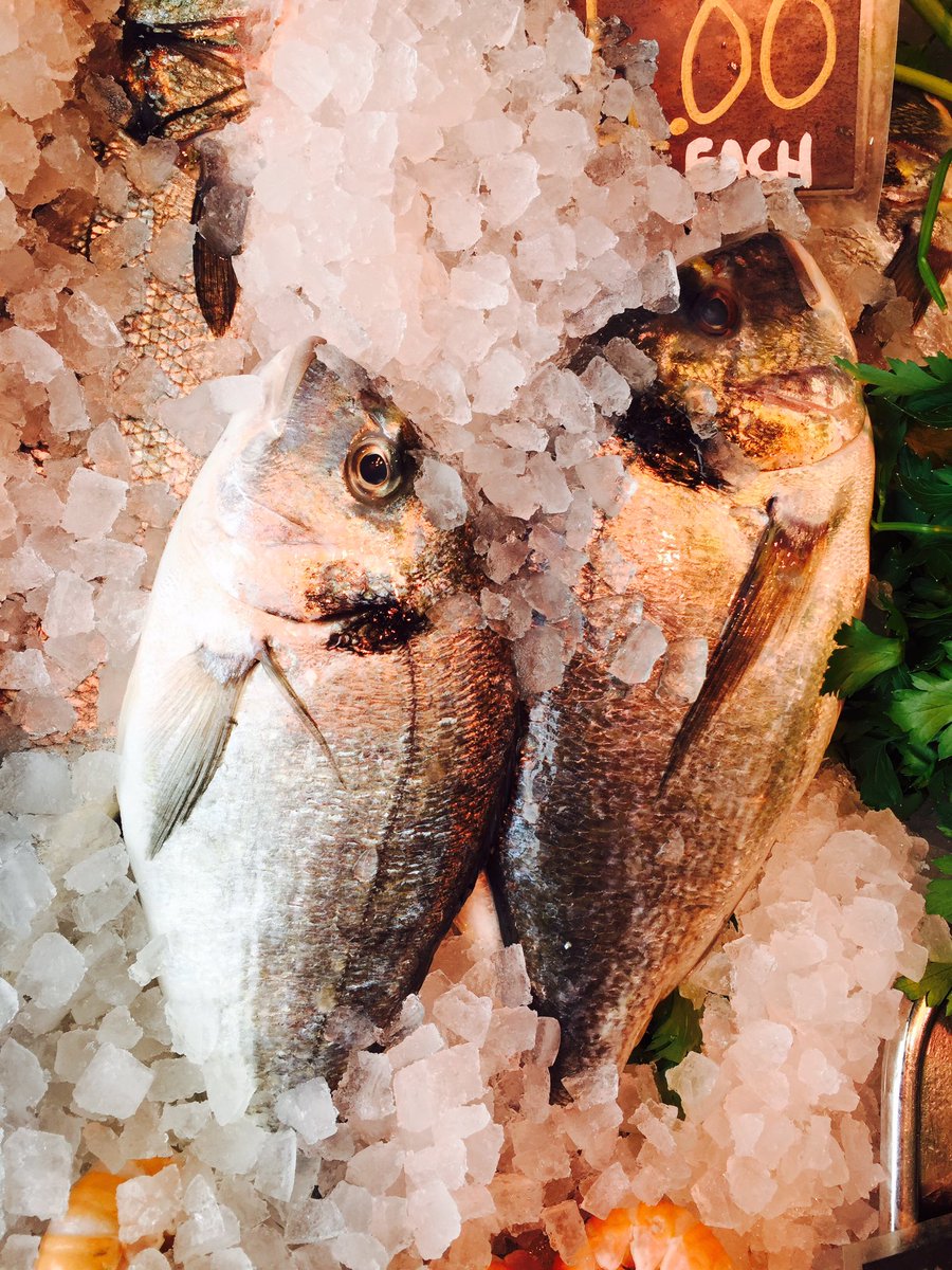 HookedFish1's tweet photo. Goodmorning everyone! As always we have the best fish &amp; meat to offer!! #eatclean #eatmorefish @ilovemonton https://t.co/FutF7Ag61q