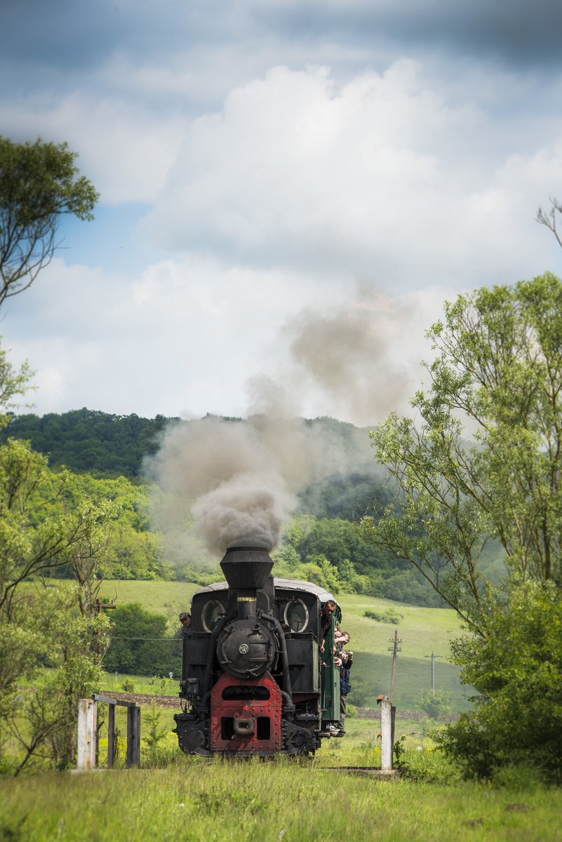 Mocanitaru's tweet photo. Steam has risen and whistles could be heard again this past weekend on the Hartibaciu valley, in rural Transylvania. https://t.co/ZEtKEHdxUT