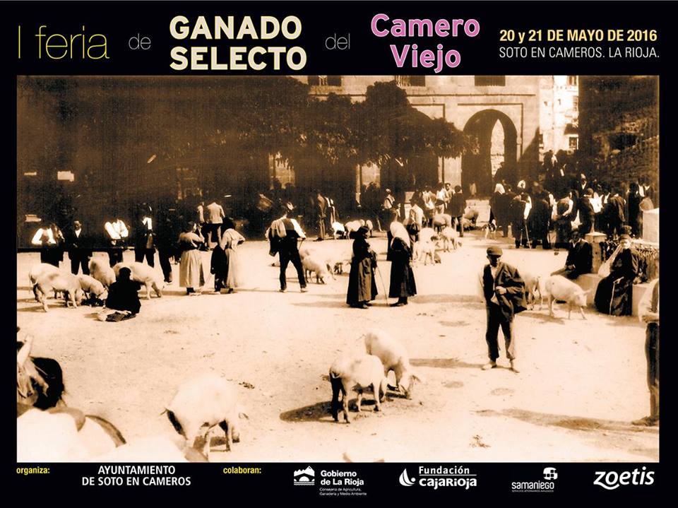 atalayacamerana's tweet photo. Este finde en el Camero Viejo:Feria de ganado en Soto, fiesta flamenca en Laguna y danzas del mundo en LaVidaEsSueño https://t.co/QtPu7AatHt