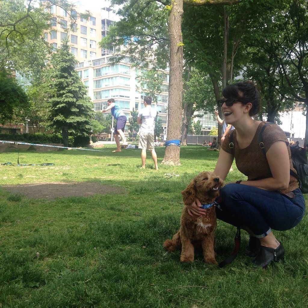 EveryParkTO's tweet photo. #dogpark #slackline #toronto #everyparkproject #acitywithinapark #everypark https://t.co/UPQQfZ1upC https://t.co/kqQa6w6ZMU