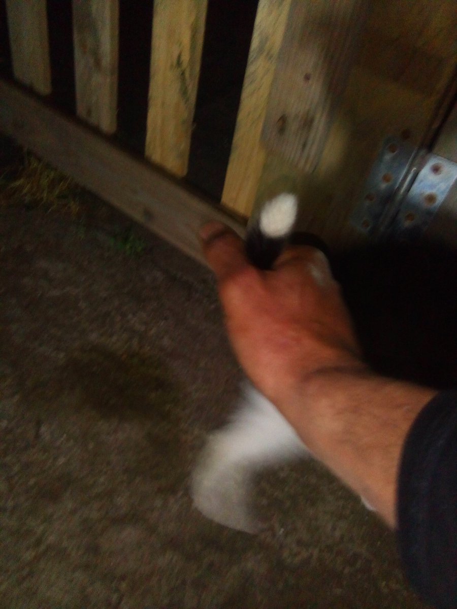 key99found's tweet image. Sandrino cracked!!! #keyfound