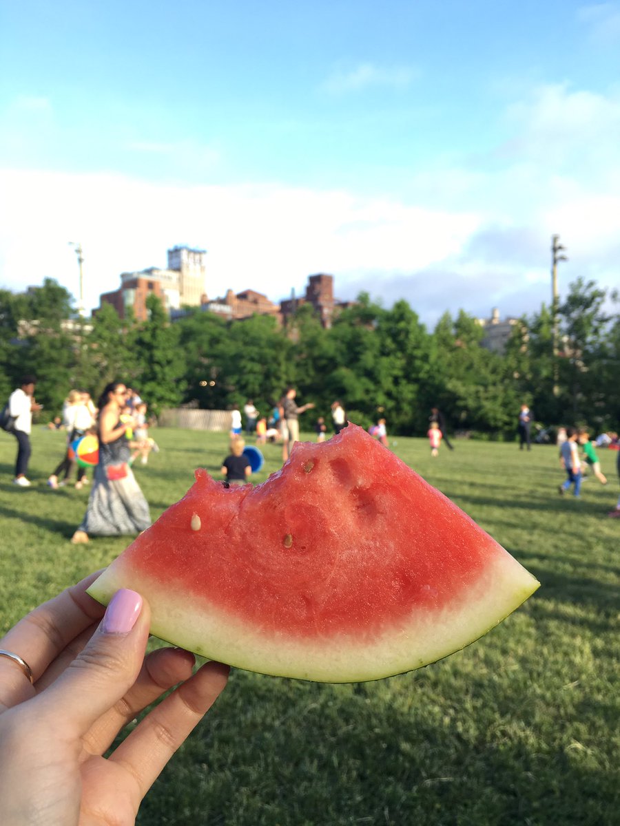1 Hotel Bklyn Bridge tweet media